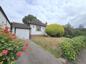 Photo 23- click for photo gallery